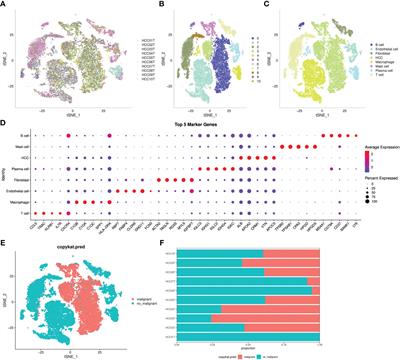 Analysis on heterogeneity of hepatocellular carcinoma immune cells and a molecular risk model by integration of scRNA-seq and bulk RNA-seq